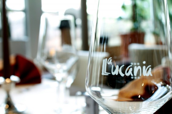 La Lucania Galerie (7).jpg